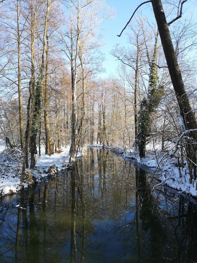 Burg Kauper Gruener Wald 아파트 외부 사진